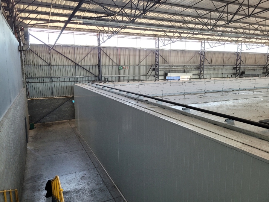 To Let commercial Property for Rent in Montague Gardens Western Cape